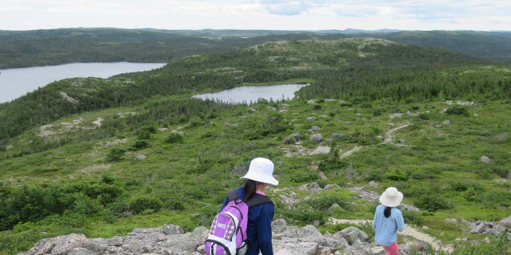 Hiking And Walking Newfoundland And Labrador Canada