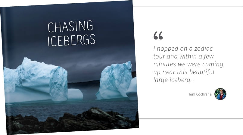 Iceberg Viewing