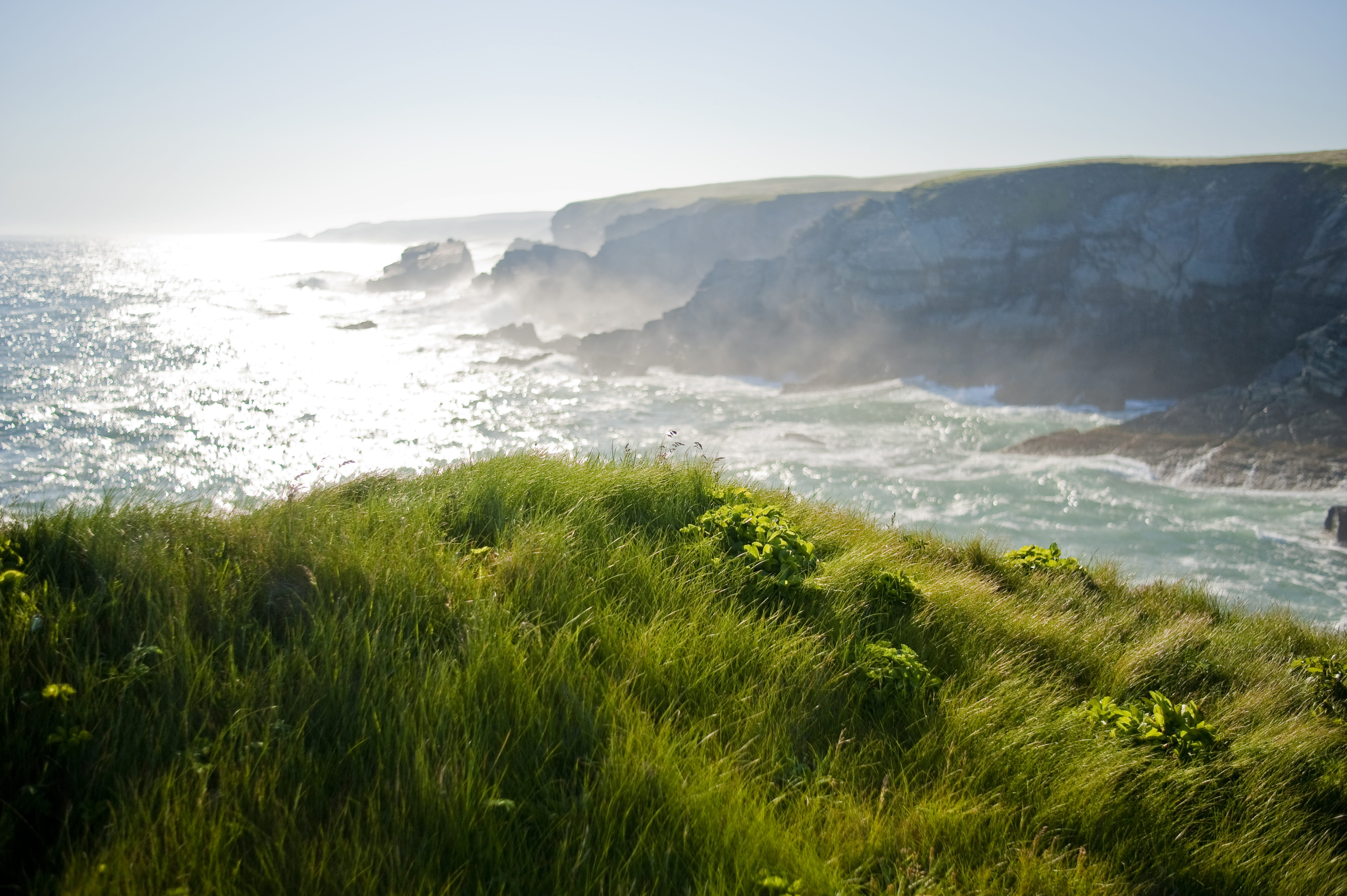 what language is spoken in newfoundland and labrador