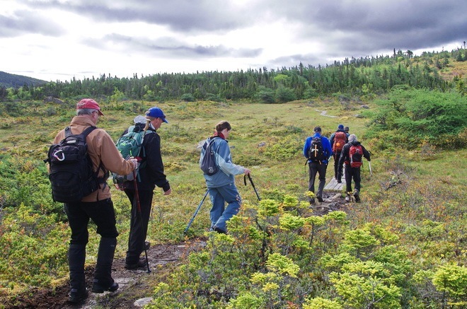 Six Amazing Things You Can Experience Only on a Hike in Newfoundland ...