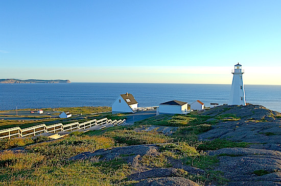 The Breathtaking Seabird Capital Of North America - Newfoundland And 