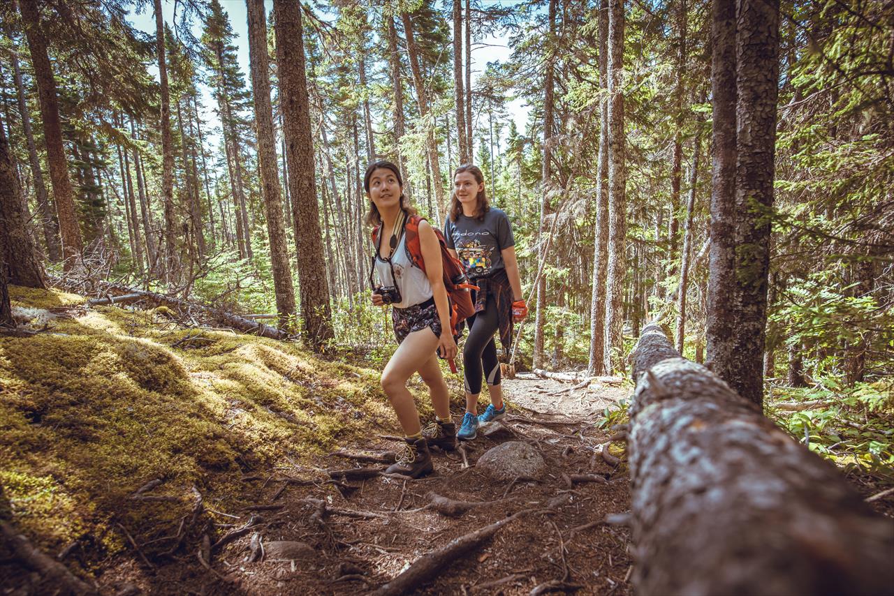 Malady Head Trail - Terra Nova National Park, Parks Canada - Terra Nova ...