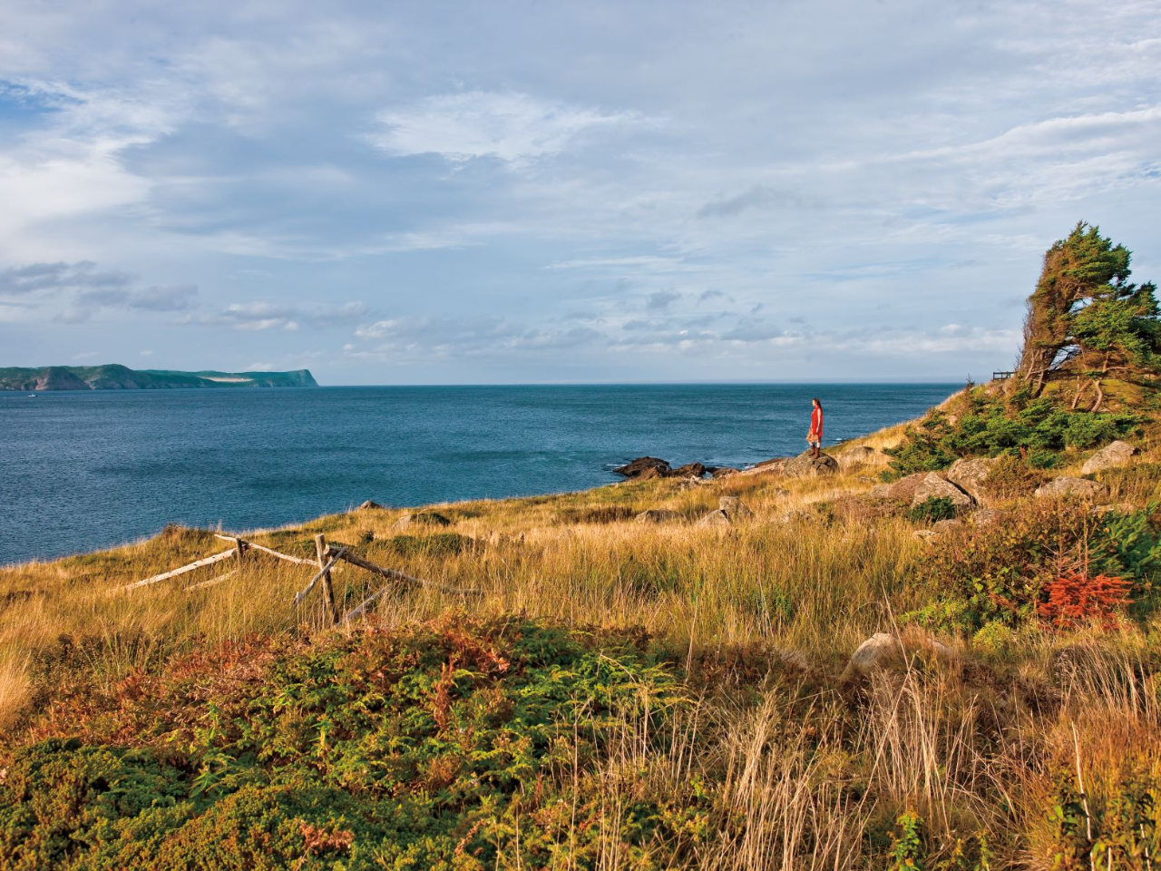 Blackhead path hotsell east coast trail